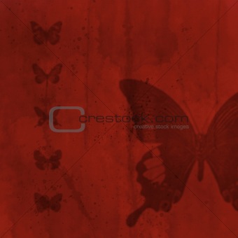 butterflies05