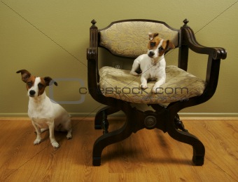 "I call the chair!"