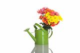 Green watering can with flowers