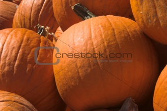 Pumpkins
