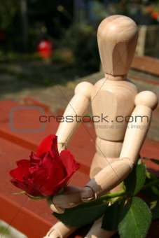 red rose  for a loved one closeup