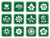 twelve flower symbols