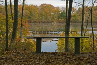 Bench on pond