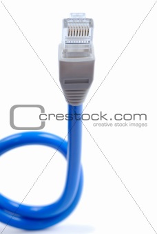 Network Loop