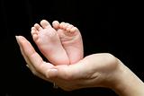Five week old baby feet held in mothers hand.
