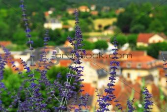 Rooftops in Sarlat, France