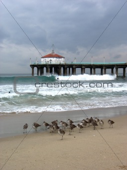 Sandpipers and Pier