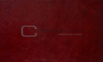 Leather Surface