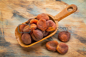 sun dried Turkish apricots