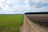 Dirt road in a rural landscape