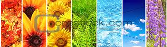 Set of banner with nature elements