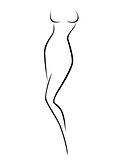 Abstract female body contour 