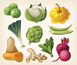 Set of exotic vegetables