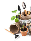 jpg2014040422534704893 Garden tools with seedlings vegetable