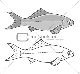 Silhouette of fish contour drawing