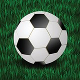 football on a grass background