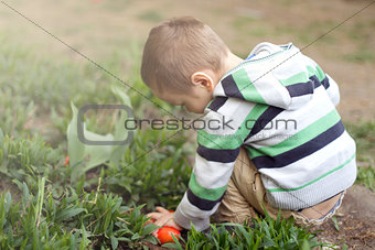 Little Boy With Easter Eggs