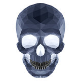 Dark crystal skull