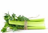 bunch of green celery on a white background