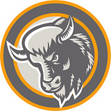 American Buffalo Bison Head Circle Retro