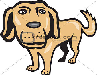 Retriever Dog Big Head Isolated Cartoon