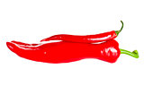 Hot red chilli peppers isolated on white