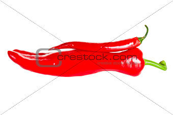 Hot red chilli peppers isolated on white