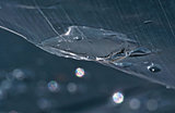 water drops on the polyethylene