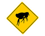 Flea warning sign
