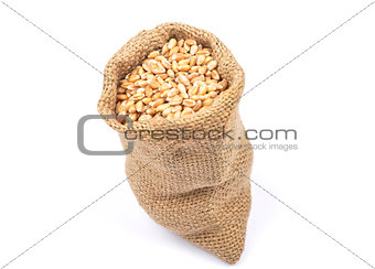 Cereal bag on white