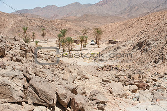 Oasis with palm trees in an isolated desert valley