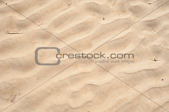 Sand ripples in a desert