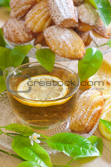 Lemon madeleines with tea
