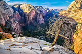 Scenic view of mountain valley in Zion national park