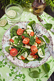 Healthy fresh spring salad