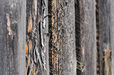 cracked aged wooden boards