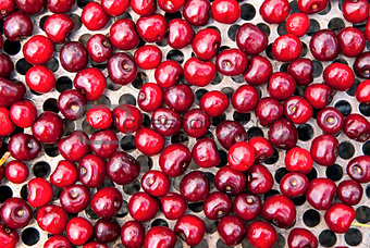 Seamless texture of cherries