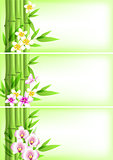 Banners with green bamboo and flowers