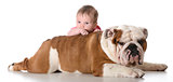 baby with bulldog