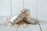 Posed Pointe Shoes in Natural Light 