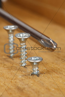 screws  and screwdriver