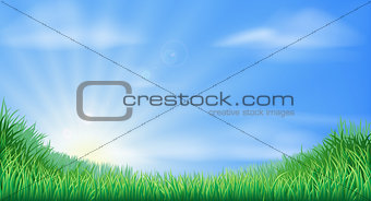 Countryside field and sun rise background