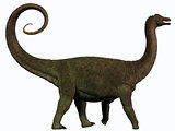 Saltasaurus Profile