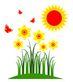 daffodils and sun