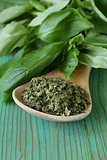 dry green basil in a wooden spoon