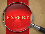 Expert - Concept with Magnifying Glass.