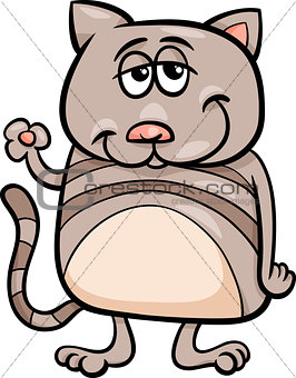 funny cat character cartoon illustration