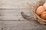 Eggs nest on wooden table