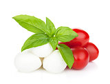 Mozzarella cheese with cherry tomatoes and basil