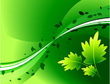Leaves on Green Background